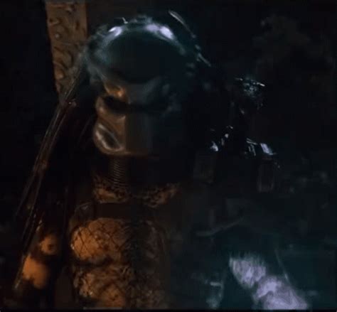 predator gif|More.